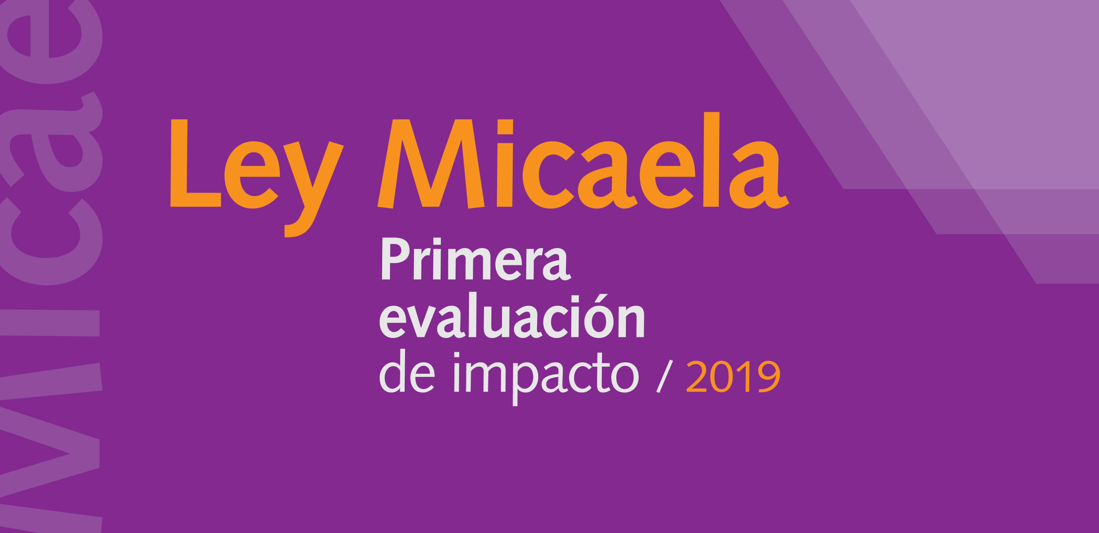 Primera Evaluación de impacto 2019 sobre la implementación de la Ley Micaela en el Poder Judicial de Río Negro.