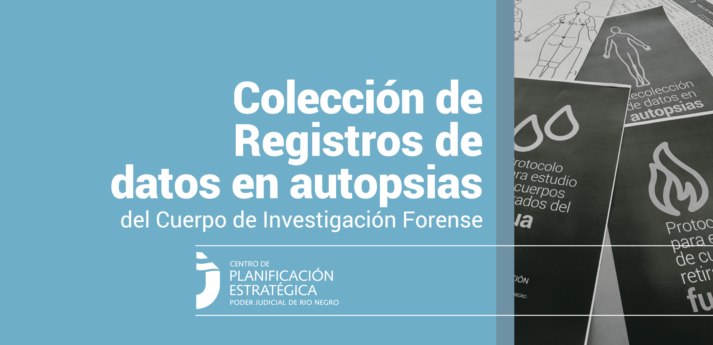 Colección de Registros de datos en autopsias del CIF