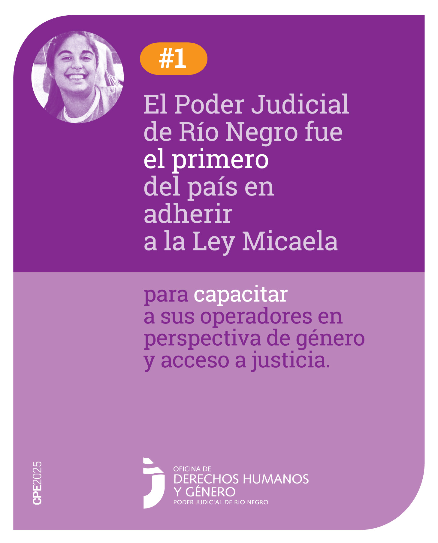 Tiene en su parte superior un fondo violeta oscuro, hacia su izquierda la imagen de Micaela García y a su lado el símbolo numeral y el número 1. De forma centrada la siguiente frase: “El Poder Judicial de Río Negro fue el primero del país en adherir a la Ley Micaela”. 
Siguiendo el mismo formato hacia abajo en un fondo de color violeta claro explica el objetivo de esa adhesión: “para capacitar a sus operadores en Perspectiva de Género y acceso a Justicia”. Al pie, se encuentra el logo de la Oficina de Derechos Humanos y Género.
