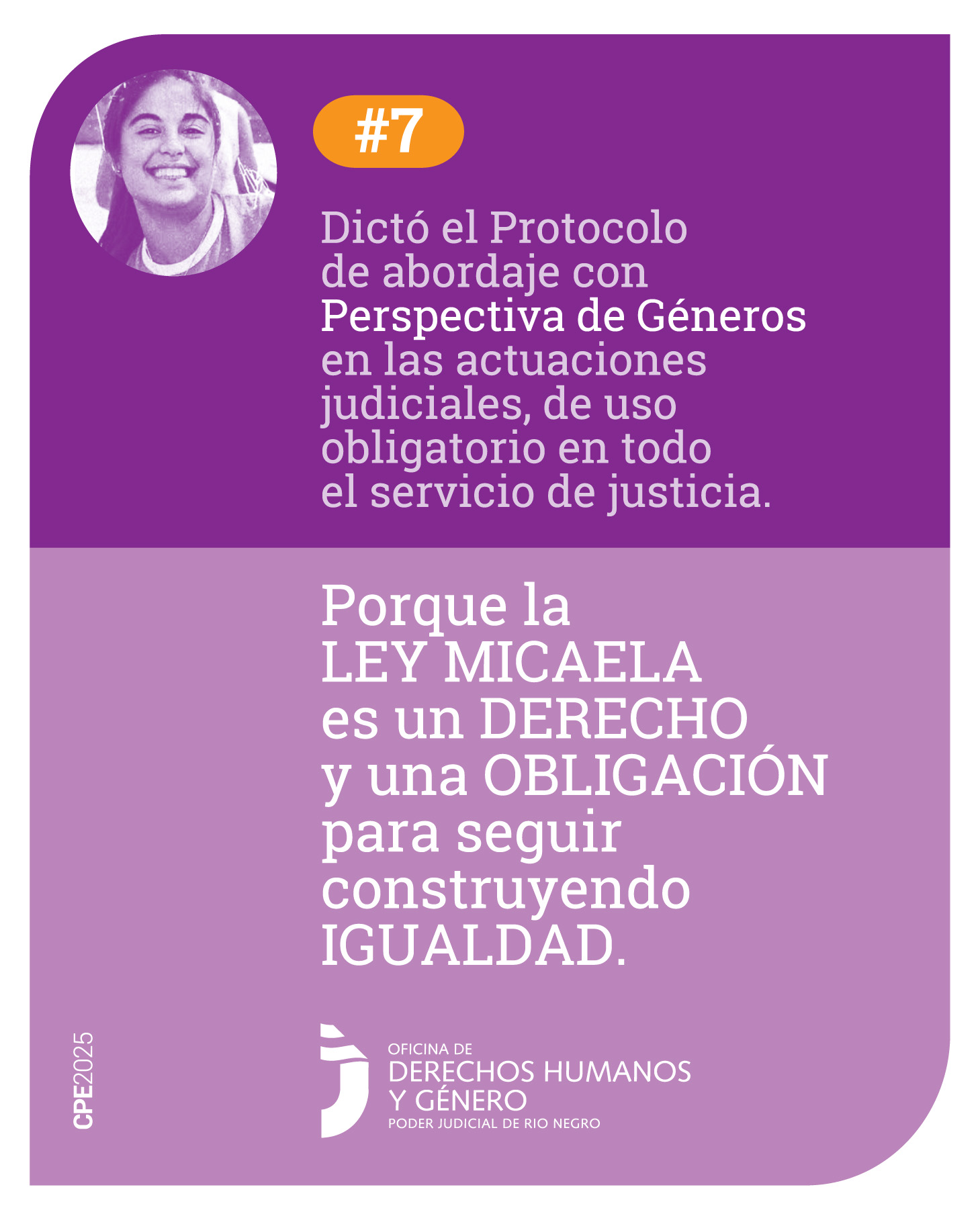Tiene en su parte superior un fondo violeta, hacia la izquierda la imagen de Micaela García. A su lado el símbolo numeral y el número 7. De manera centrada dice: “Dictó el Protocolo de abordaje con Perspectiva de Géneros en las actuaciones Judiciales, de uso obligatorio en todo el servicio de Justicia”. Hacia abajo sobre un fondo violeta claro está la frase final, con letras destacadas: “Porque la Ley Micaela es un Derecho y una Obligación para seguir construyendo en Igualdad”. Al pie, se encuentra el logo de la Oficina de Derechos Humanos y Género. 